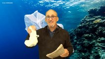 A propos du plastique - On est pas des cons quand même !!