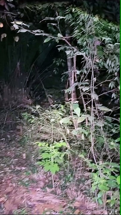 Paranormal activity ghost on camera part 251