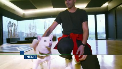 Mon maître est une célébrité