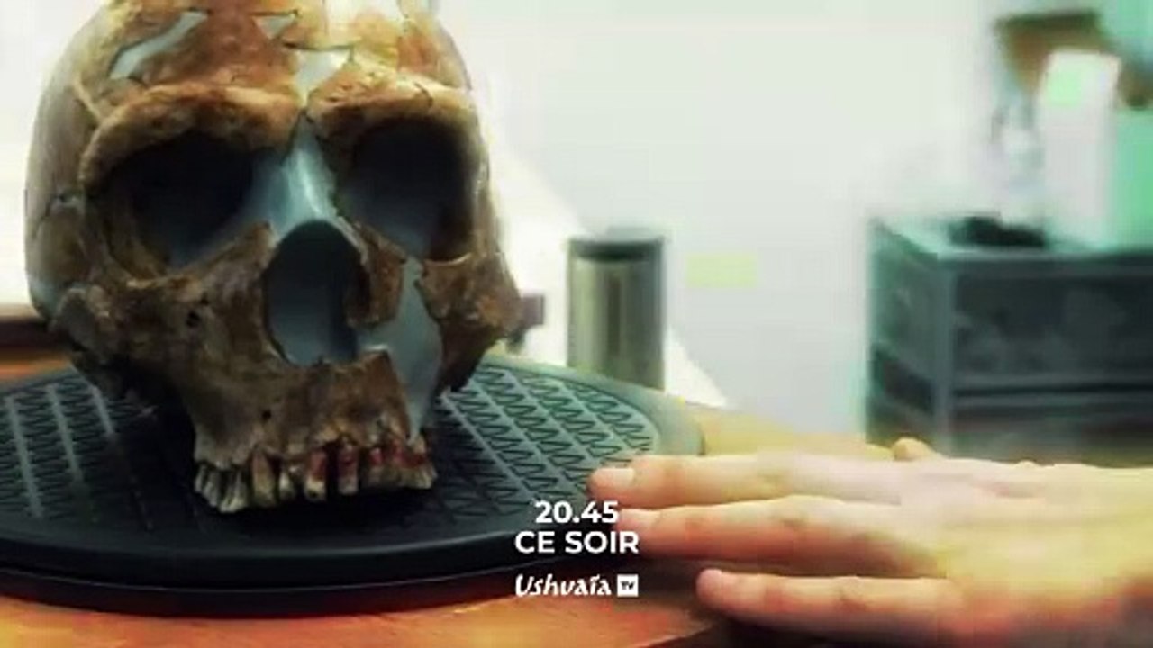 Néandertal, à la rencontre de nos ancêtres