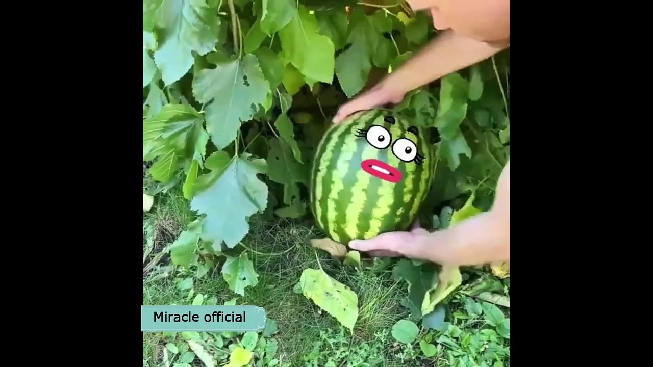baby delivery of water million in C section