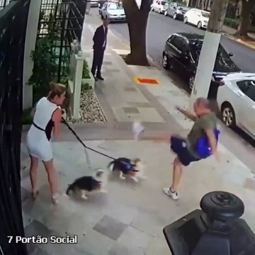 Irmã de ministro do STF e seus cachorros são chutados por desconhecido