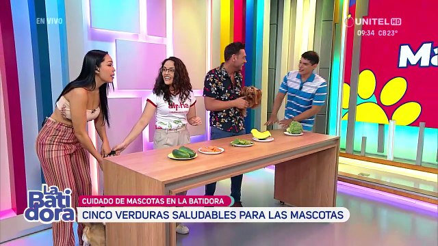 Cinco verduras recomendadas para incluir en la dieta de los perritos