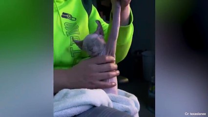 “Only Cat Owners Would Understand”  Cat and Human Share A Nap