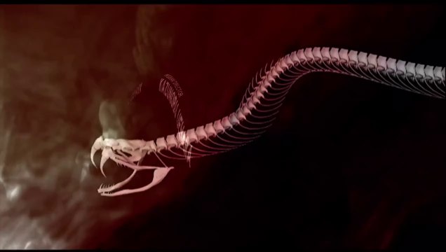 Metal Gear Solid 3: Snake Eater - HD Collection | Opening Video