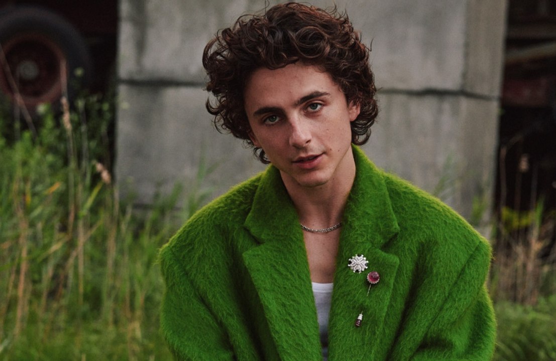 Timothée Chalamet felt he had to star in ‘Bones and All’ to prove it WASN’T inspired by Armie Hammer cannibalism sex fantasy scandal