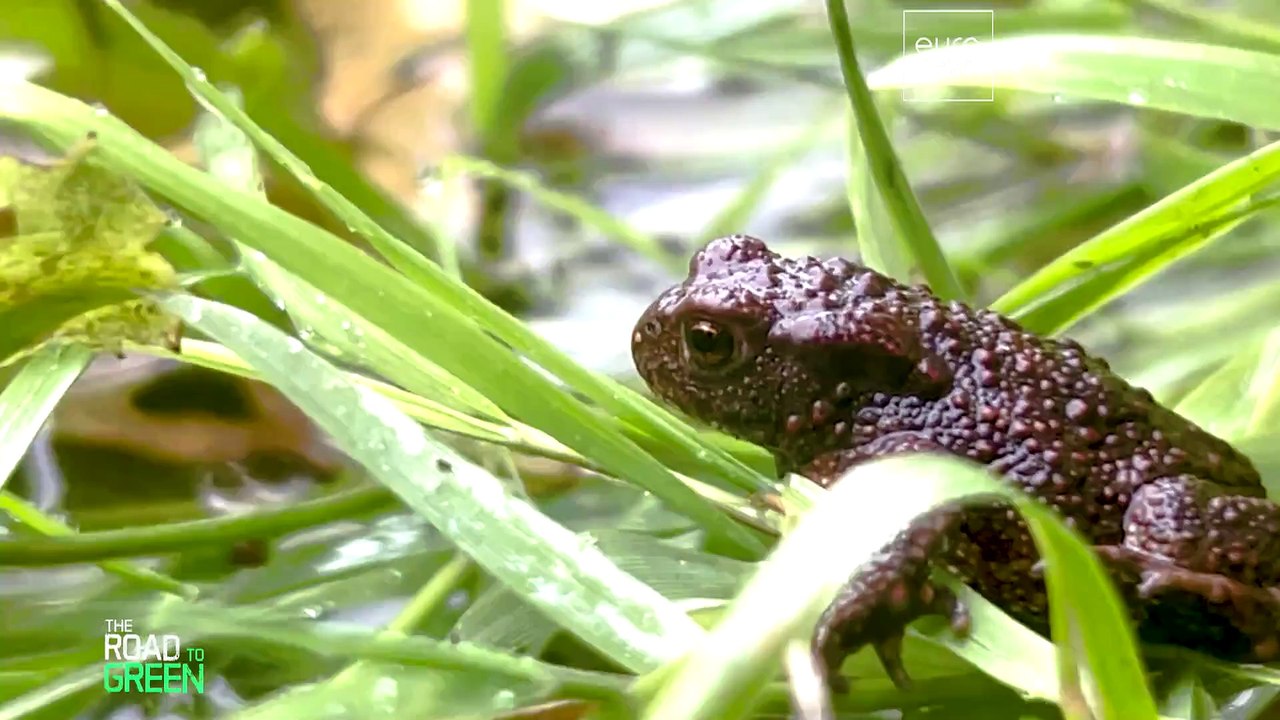 Restoring European rivers: a win-win scenario for humans and nature