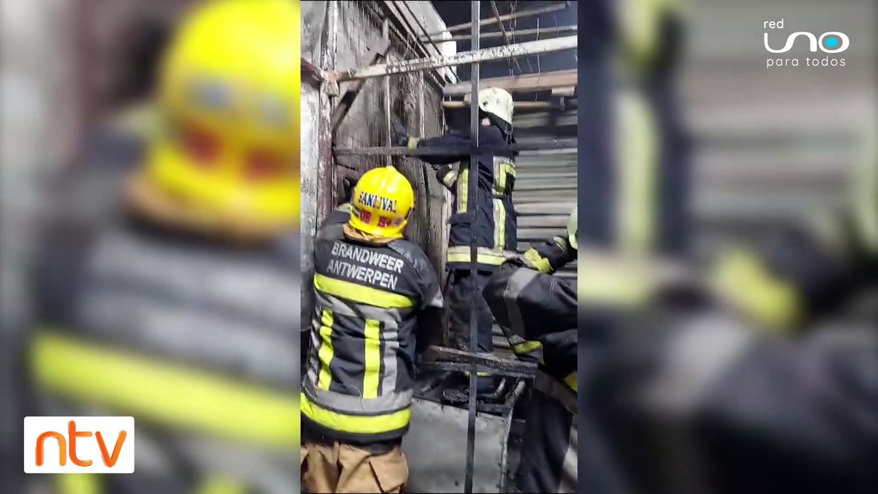 Bomberos rescataron un gatito del incendio del mercado Los Pozos