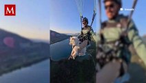 Joven salta en parapente con su mascota e internautas lo acusan de maltrato animal