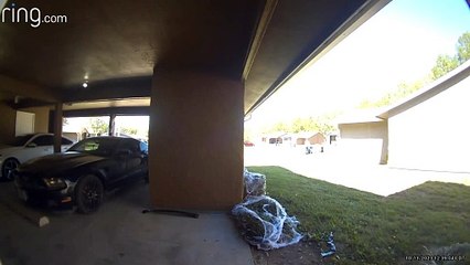 Accepting Defeat After Husky Escapes