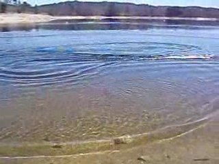 2eme essai microcobra