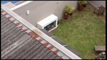 Mulher é acusada de agredir o filho autista em Ponta Grossa