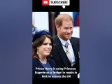 Prince Harry is using Princess Eugenie as a 'bridge' to royals in hint he misses the UK