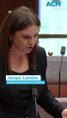 'Not one excuse': Senator Jacqui Lambie sounds off on federal Labor