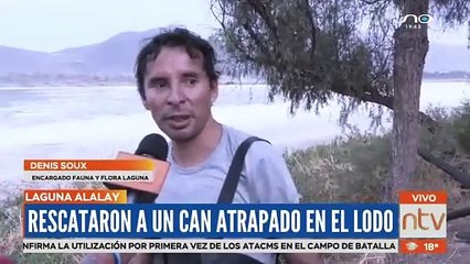 Rescatan a perrito que quedó atrapado en el lodo de la laguna Alalay