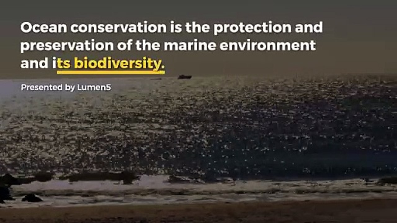 ocean conservation protects marine biodiversity and ecosystems