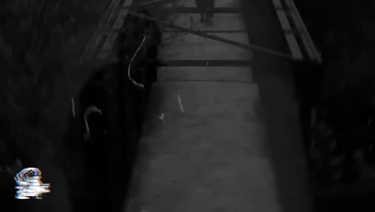 3 HISTORIAS DE TERROR VOL  121 (Relatos De Horror)