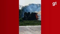 Incêndio atinge parque no Pantanal de MT onde há maior concentração de onças-pintadas no mundo