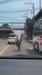 Pup Rides As Passenger on Bike