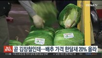 곧 김장철인데…배추 가격 한달새 20% 올라