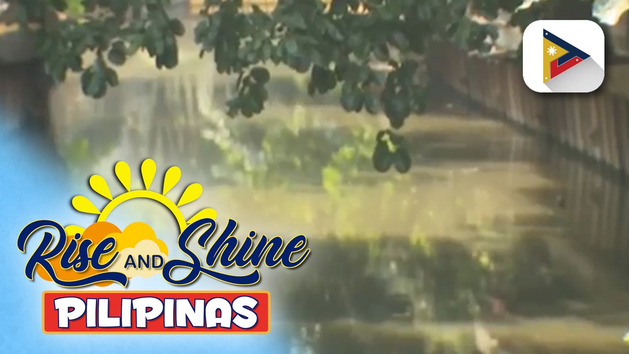 Tripa de Gallina sa Makati, naging linear park na matapos ang halos 15 taon na rehabilitation