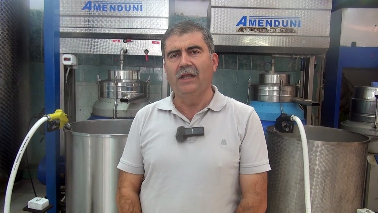 zeytinnn