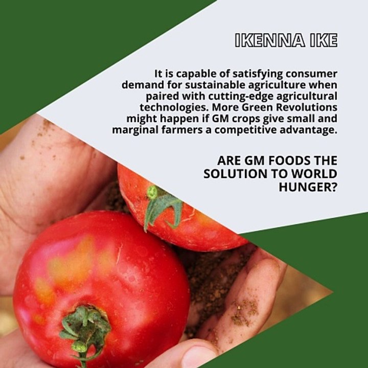 | IKENNA IKE | ARE GM FOODS THE SOLUTION TO WORLD HUNGER? 12.6% OF THE WORLD’S POPULATION SUFFERS FROM MALNUTRITION (PART 3) (@IKENNAIKE)
