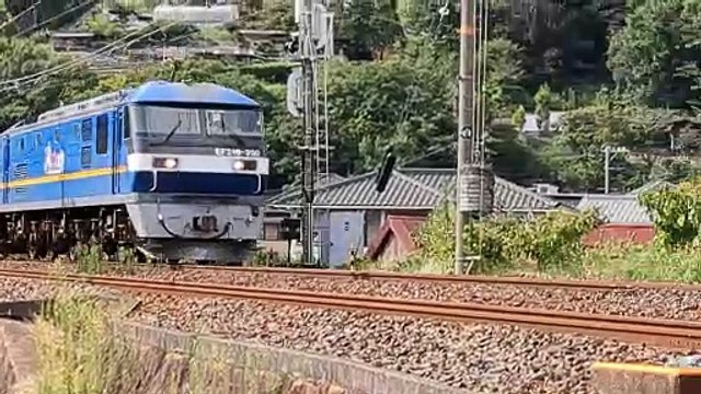 PXL_20230912_145539 5054列車・5054レ Train 5054, 5054 Les.