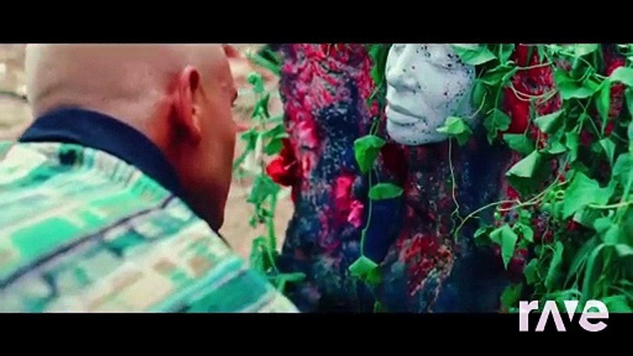 zzezza x editah x prodane kosti