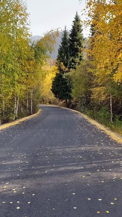 Unleash Your Inner Power #MotivationMonday #InnerStrength #AchieveYourDreams