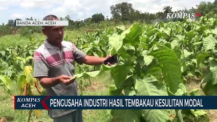 Pengusaha Industri Hasil Tembakau Kesulitan Modal