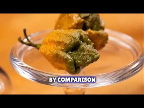 Guinness World Records declares Pepper X as world's new hottest chili pepper