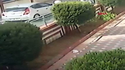 17 daireye girip, 2 milyon TL'lik hırsızlık yaptılar