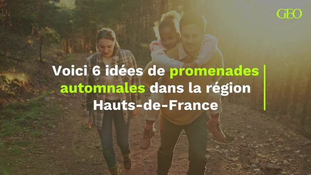 Voici 6 idées de promenades automnales dans la région Hauts-de-France