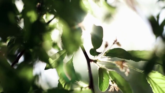 Le cercle des petits philosophes