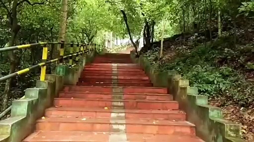 தொடர் மழை எதிரொலி; சுருளி அருவியில் வெள்ளப்பெருக்கு, சுற்றுலா பயணிகளுக்கு தடை