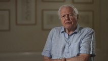 David Attenborough sends warning about ‘natural world’ ahead of Planet Earth return