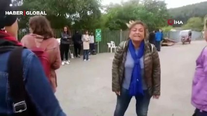 Heybeliada’da 'atlara işkence' iddiası hayvanseverleri harekete geçirdi