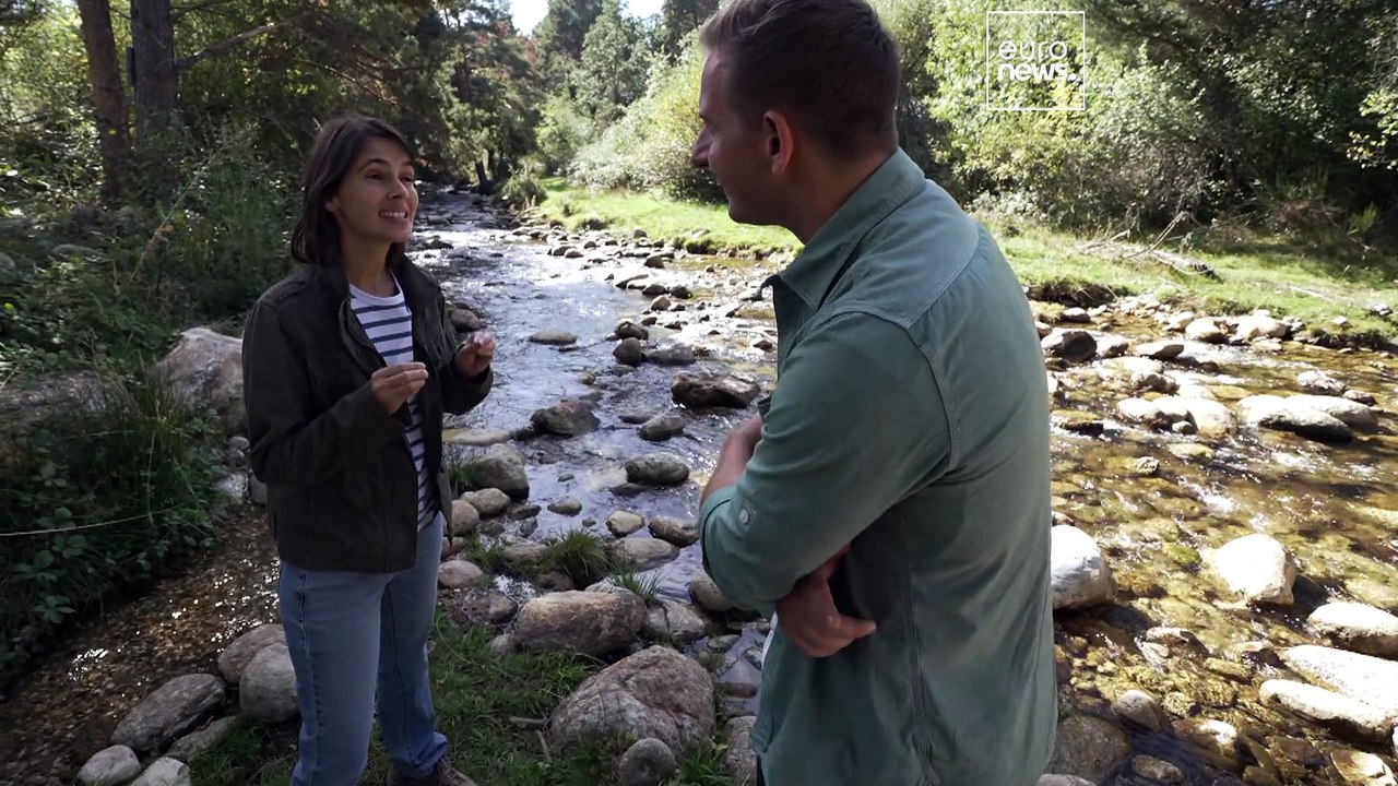 Pourquoi faut-il libérer les rivières européennes des barrages obsolètes ?