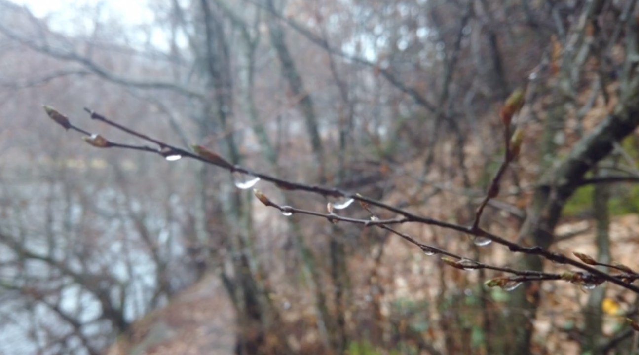 Extremer Wetterwechsel zum Wochenende