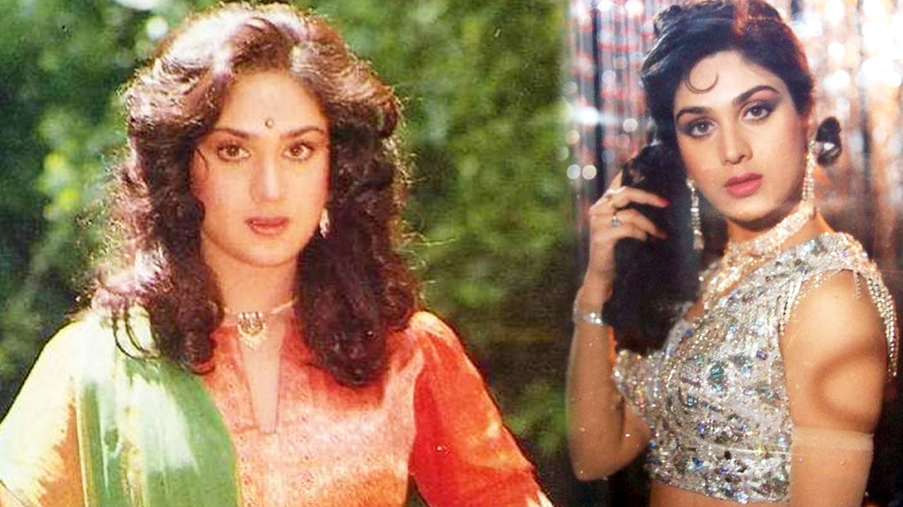 जब Meenakshi Seshadri ने कहा विवाह से बच्चों को...