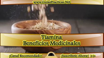 ¿Para Qué Sirve la Tiamina_ Beneficios Medicinales