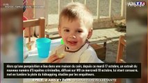 Disparition d'Émile, 2 ans et demi : L'enfant kidnappé ? Cette piste étudiée grâce aux chiens Saint-Hubert