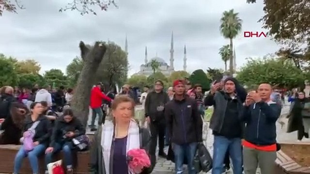 Sela a été récitée pour ceux qui ont perdu la vie lors des attaques israéliennes contre Sainte-Sophie et la Mosquée Bleue