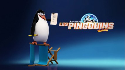 Les pingouins de Madagascar