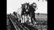 Old film captures a ploughing match at Listooder from 1965