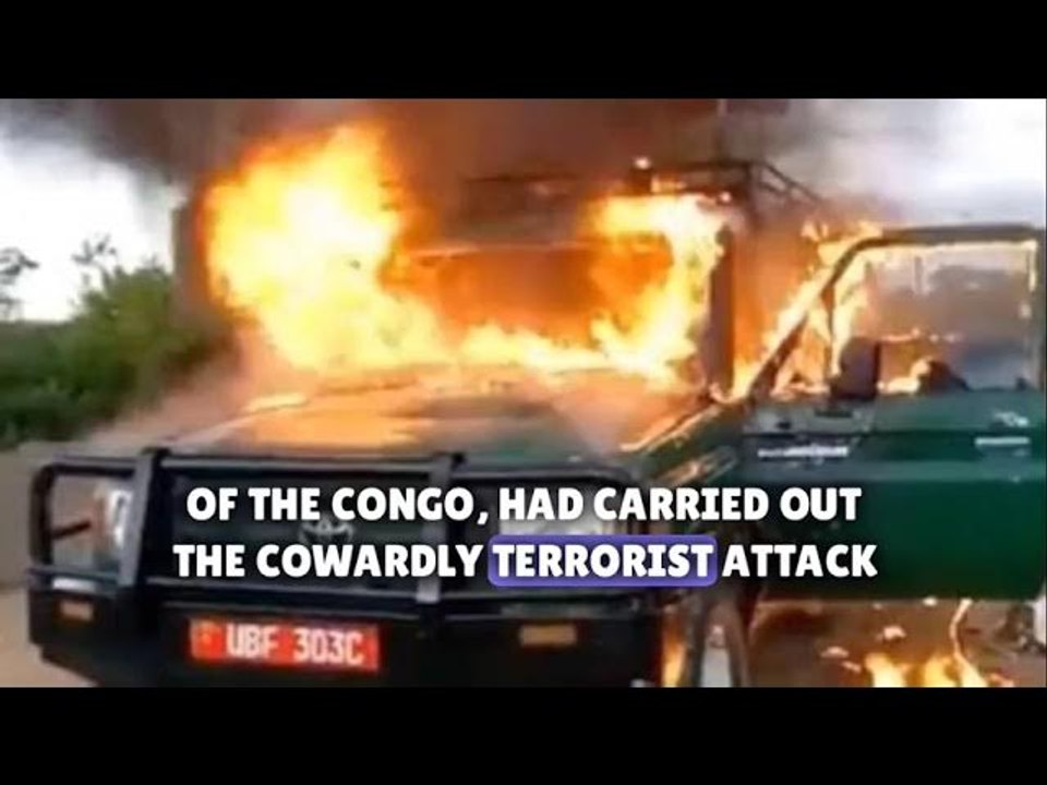 Two tourists, from UK and South Africa, and guide killed in attack in Uganda