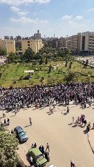 مظاهرات في مصر تنديدا بمجزرة المعمدانية