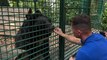 West Lothian zoo to house Ukrainian bear Yampil