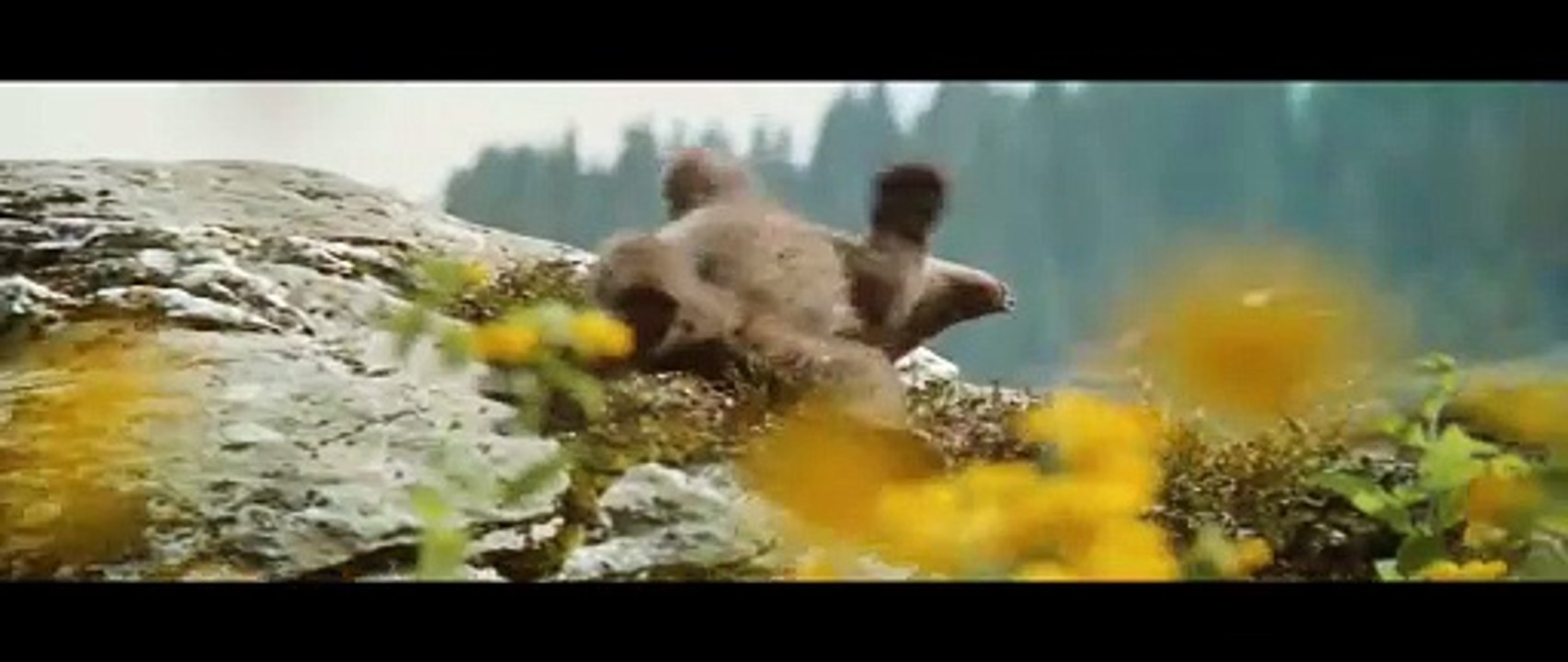 L'Ours (version restaurée)